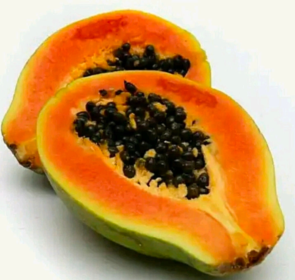 4 CANS 17OZ GOYA PAPAYA In SLICES & SYRUP DULCE DE PAPAYA FRESHNESS GUARANTEED!